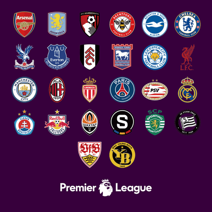 Premier League Football Club Stickers: Custom UV DTF Decals 🦁⚽️